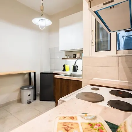 Thission Penthouse Apartment Athens